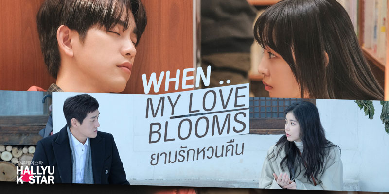 ͵ | When My Love Blooms: ѡǹ׹  Hallyu K Star